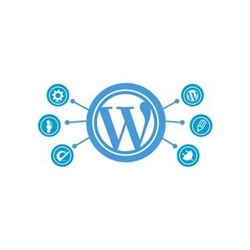 wordpress web development service